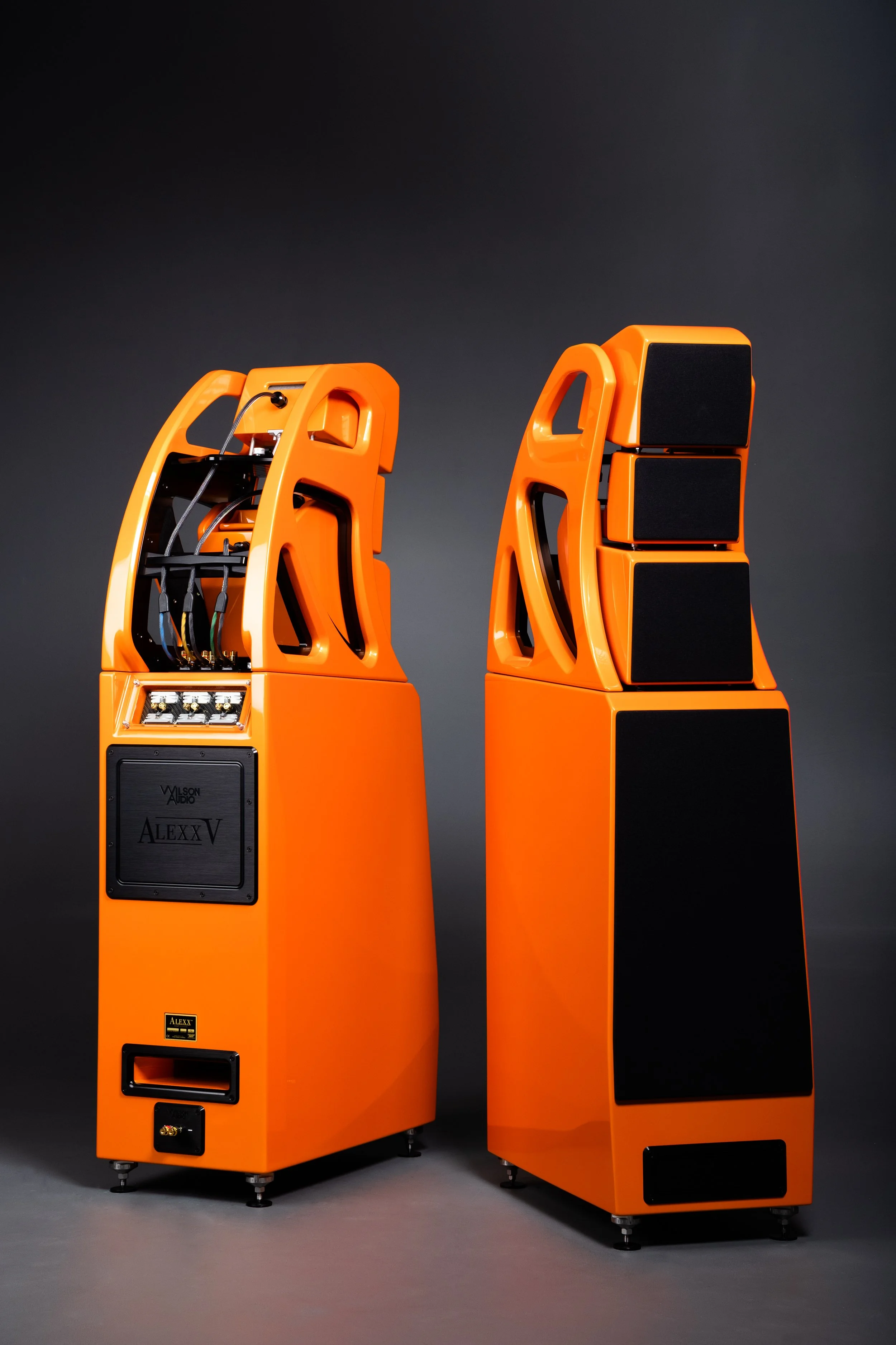 Wilson Audio Alexx V | Full-Range High-End Loudspeaker — The Audio